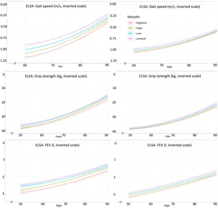 Fig 1. Associations between wealth and functional ageing trajectories for gait speed, grip strength, and lung function in ELSA and CLSA.