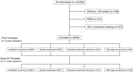 Figure 1. Cohort diagram. GA, gestational age;PDM, pregestational diabetes.