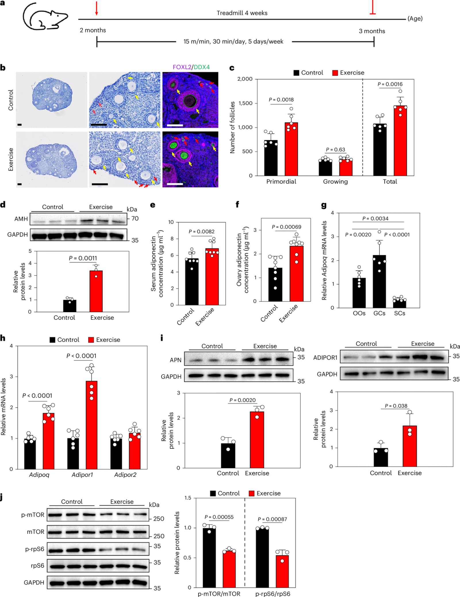 Figure 1 from Nature Aging