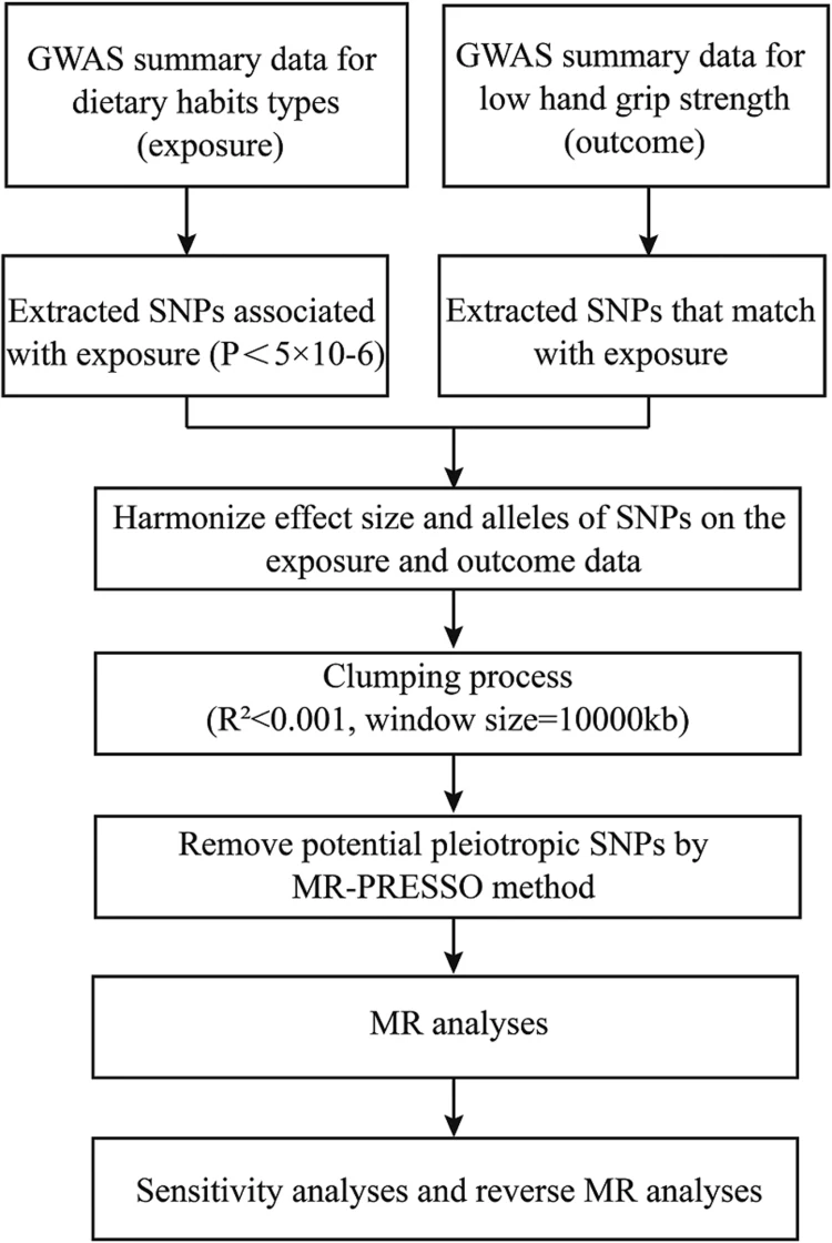 Figure 1. The working flow chart of this bidirectional Mendelian randomization study to explore the causal relationship between dietary habits and low hand grip strength.