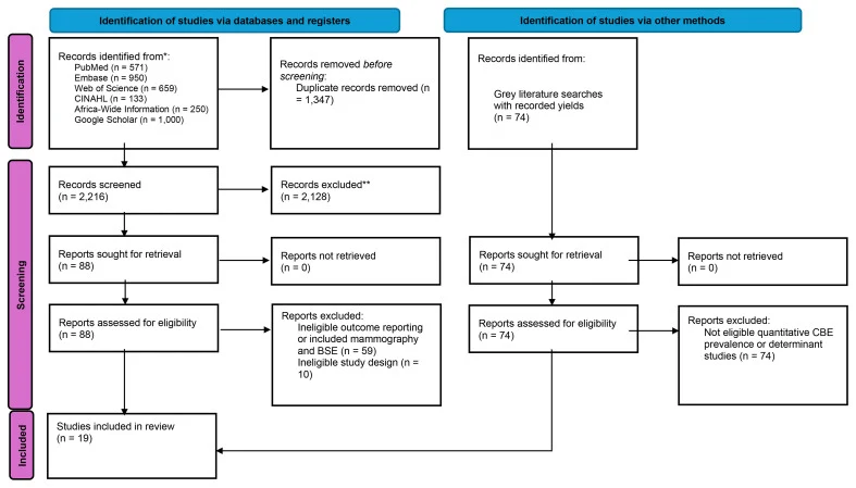 Figure 1. PRISMA flow diagram.