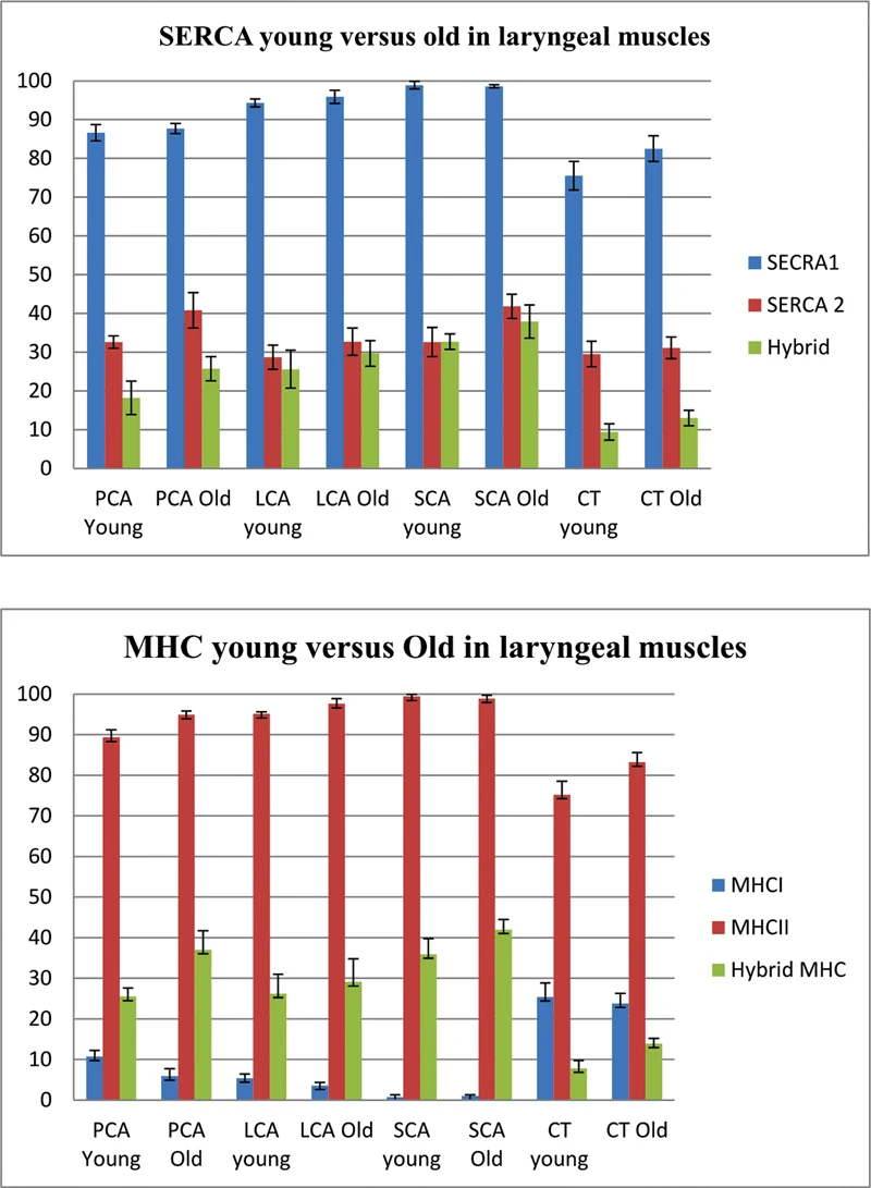 Fig. 1. Effect of aging on SERCA and MHC isoform expression in intrinsic laryngeal muscles.