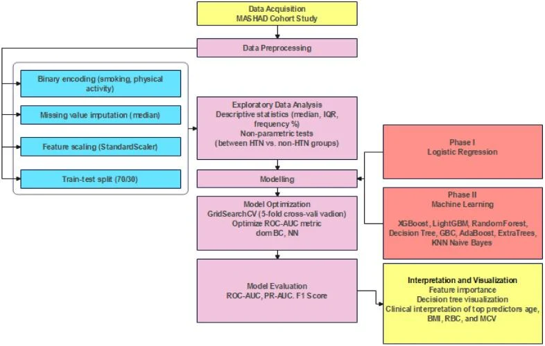 Fig. 1. Schematic representation of the overall study workflow.
