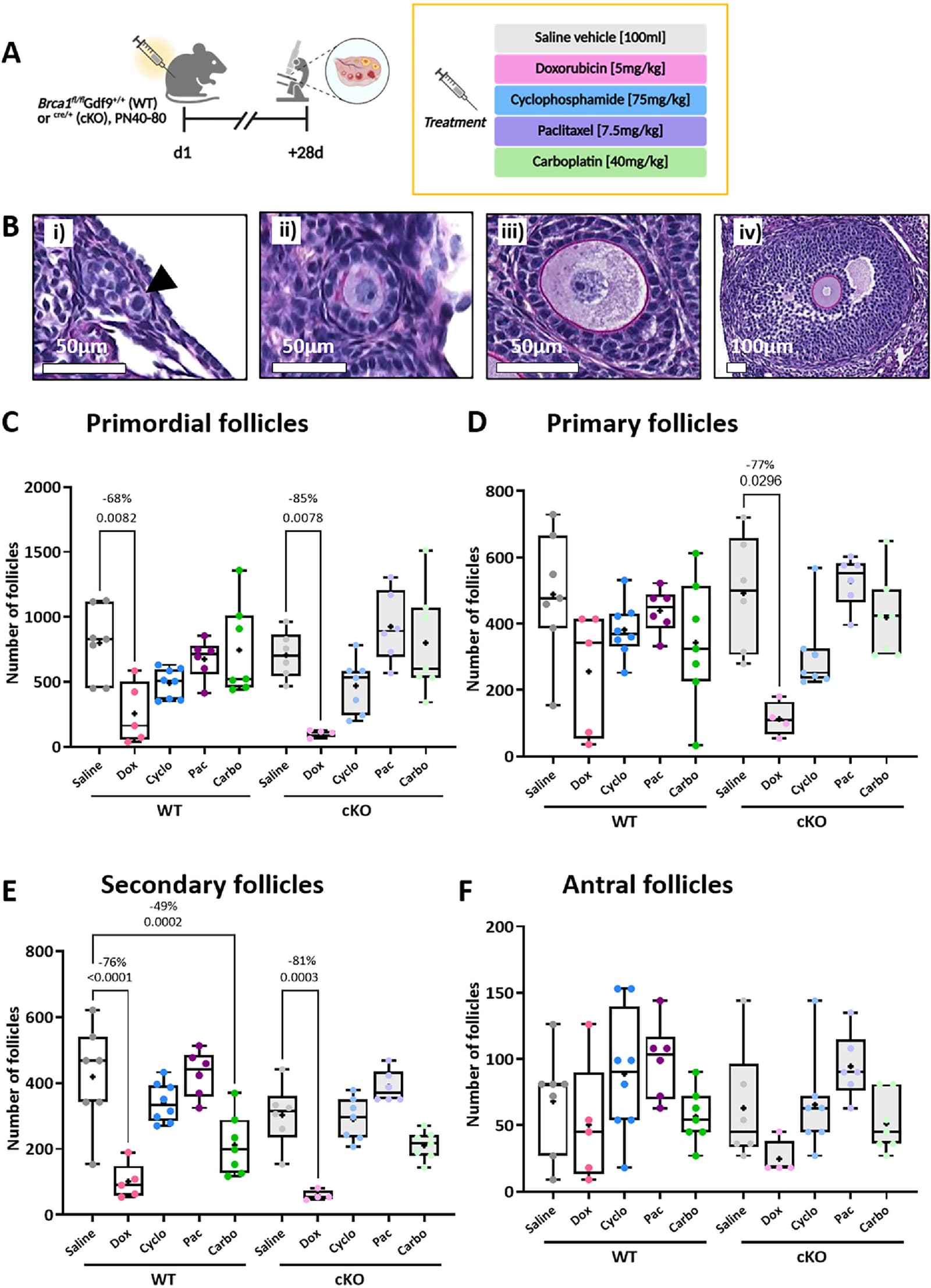 Figure 1 from Reproductive Biomedicine Online