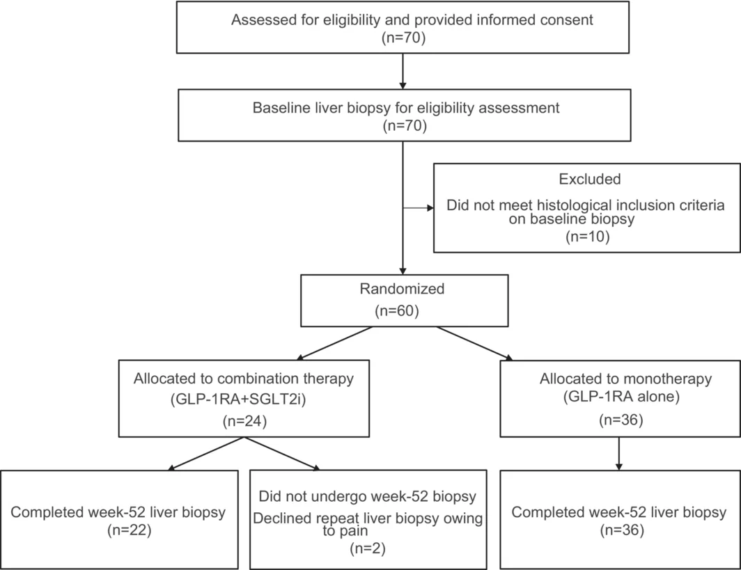 Figure 1. Enrollment, randomisation and follow‐up.