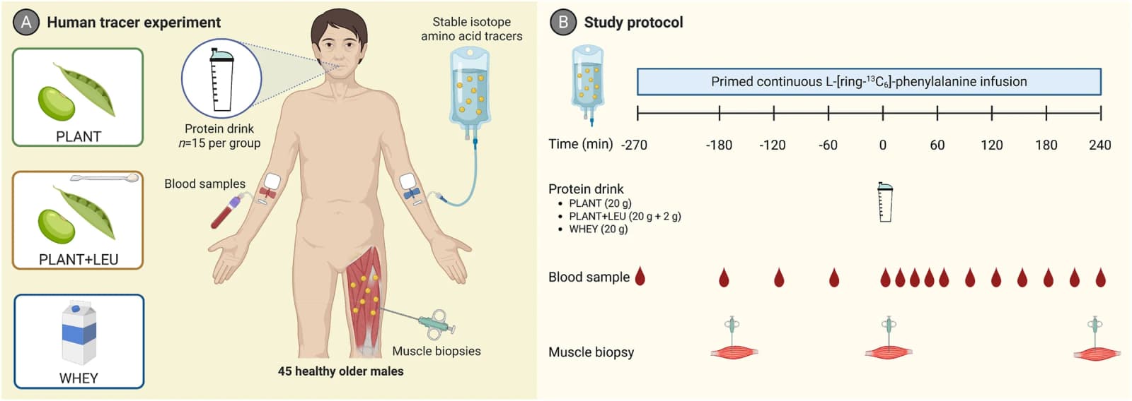 Figure 1 from The Journal of Nutrition