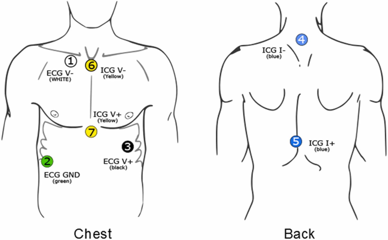 Figure 1 from Biological Psychology