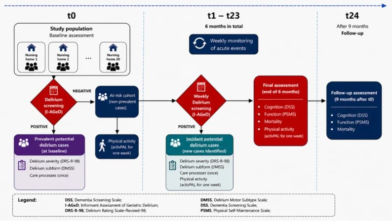 Fig. 1. Data Collection Procedure of the DeliDem-NH Study