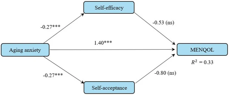 Figure 1. Parallel mediation model.