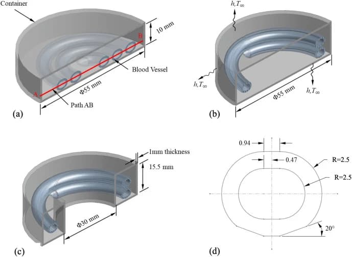 Fig 1. Blood vessel (209 mm in length) and container geometries: (a) a spiral configuration (7 mm pitch, 2.5 revolutions) in a solid cylindrical container filled with CPA up to 8 mm; (b) a helical…