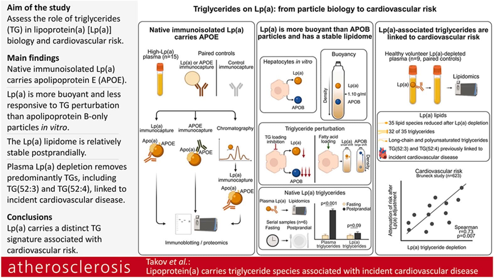 Graphical abstract from Atherosclerosis