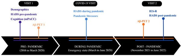 Figure 1. Study timeline. HADS, Hospital Anxiety and Depression test; mPACC, modified Preclinical Alzheimer's Cognitive Composite test; PET, positron emission tomography; IES‐R, Impact of Events Scale Revised.