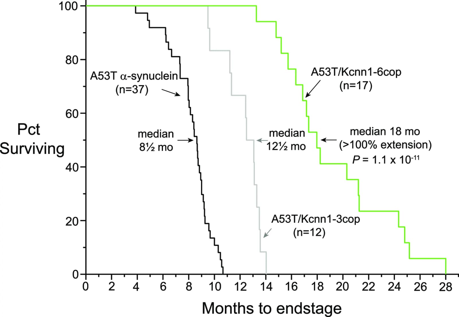 Fig. 1. Kaplan–Meier survival plots for A53T α-synuclein transgenic mice, A53T/Kcnn1-3copy mice, and A53T/Kcnn1-6copy mice.