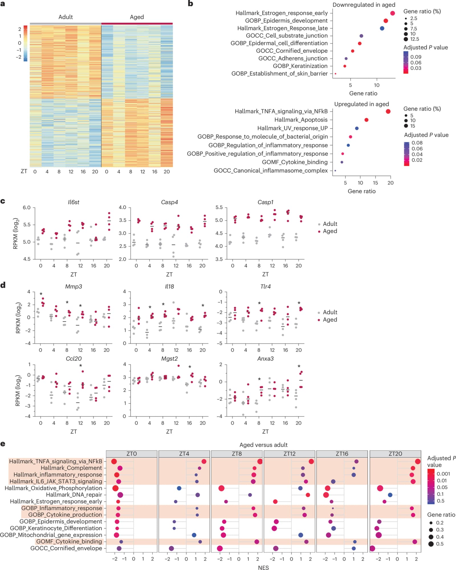 Figure 1 from Nature Aging