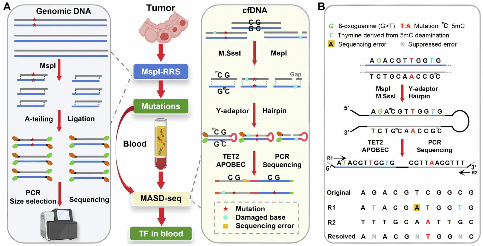 Figure 1 from EMBO Molecular Medicine