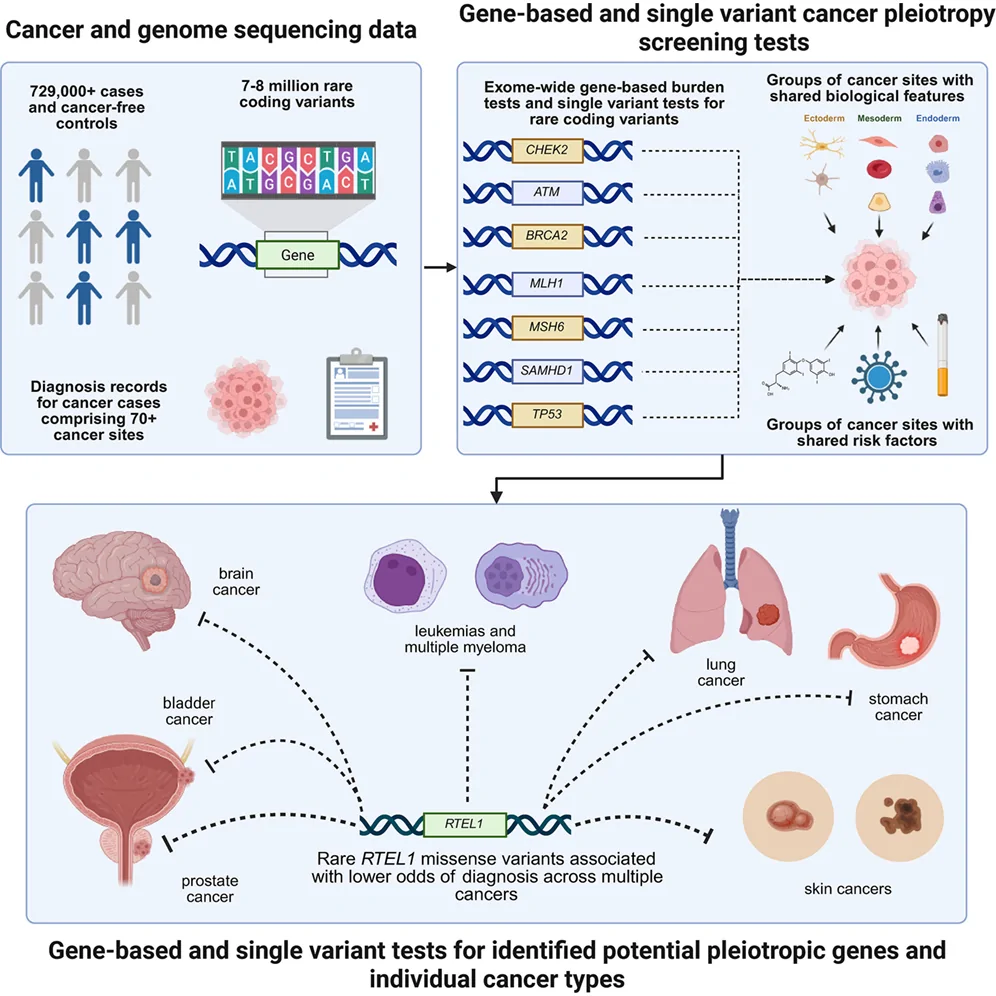 Graphical abstract from HGG Advances