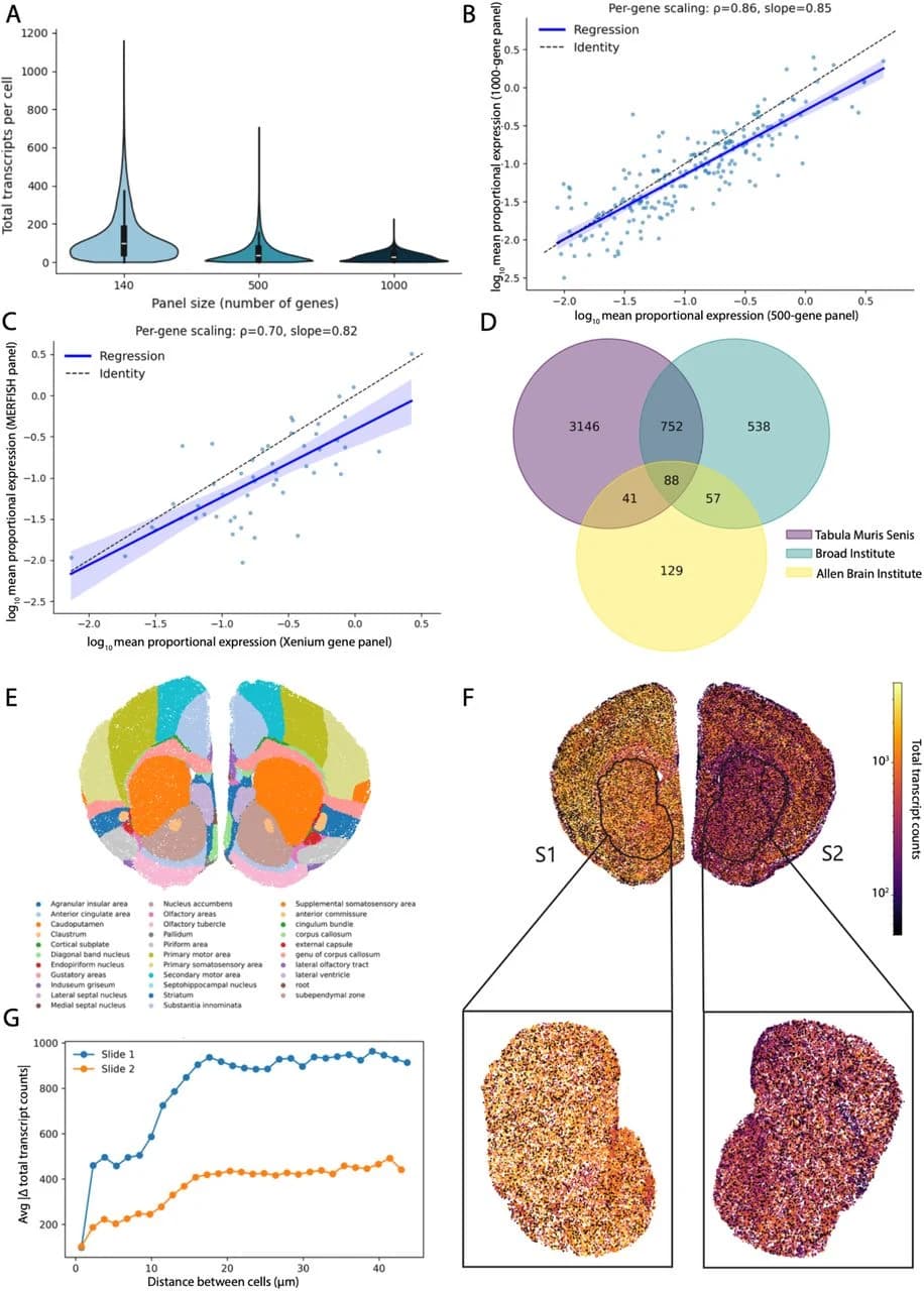 Figure 1. Spatial count-compositional structure in ST data.