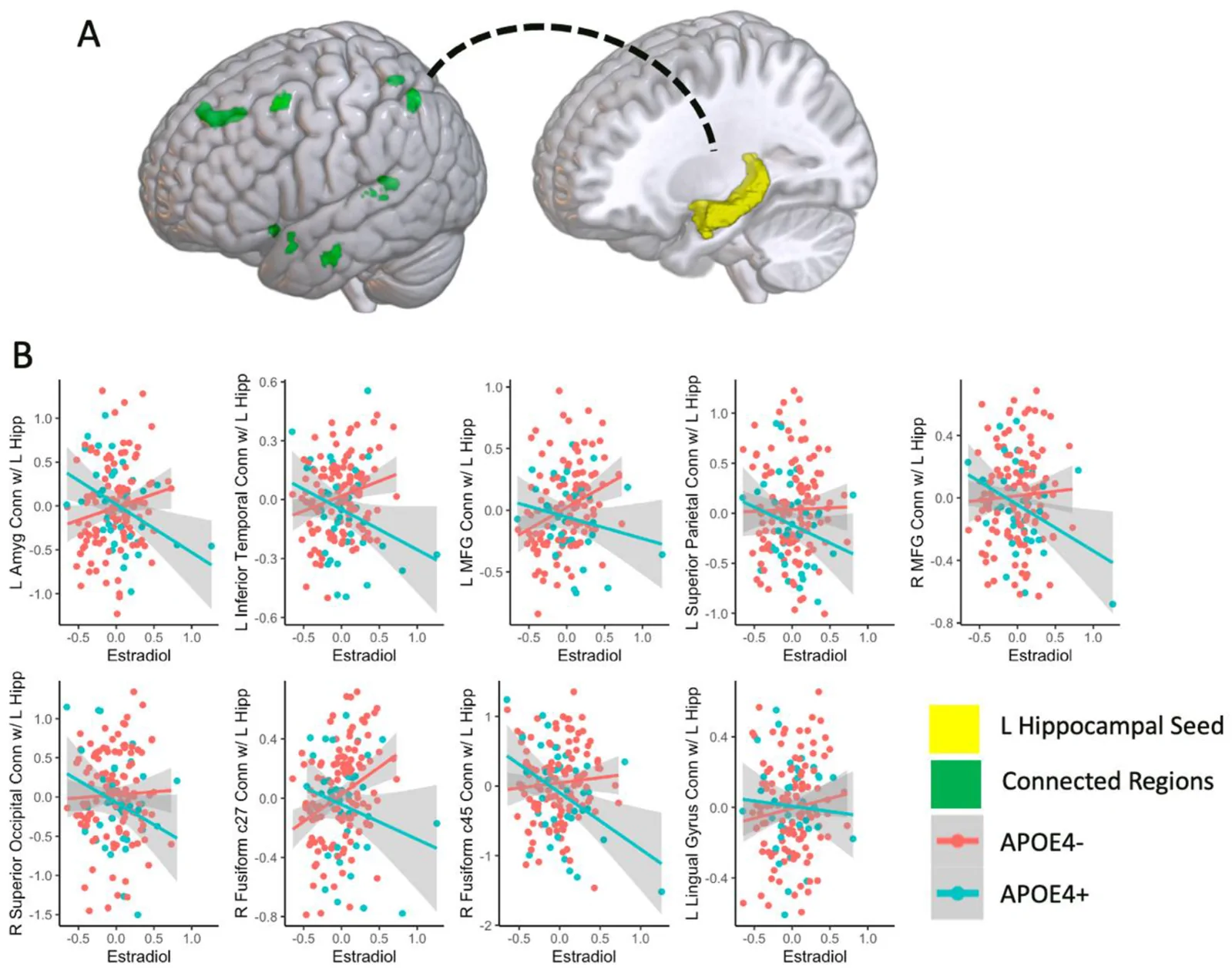 Figure 1. Associations of endogenous estradiol with left hippocampal functional connections during encoding that vary by APOE4 carrier status.