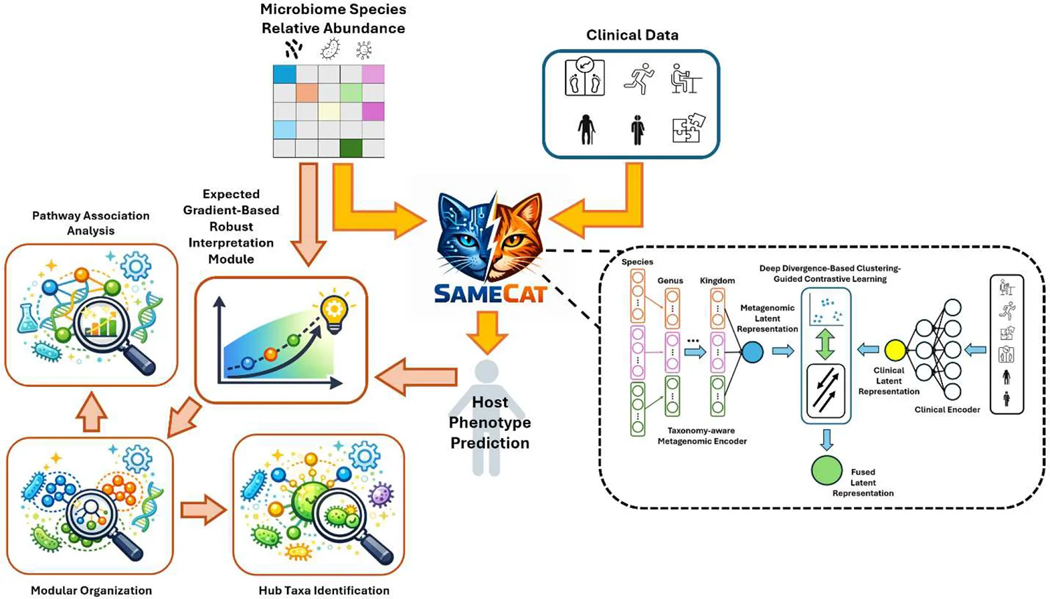 Figure 1. Schematic overview of SAMECAT and the downstream interpretation framework.