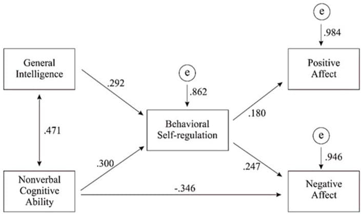 Figure 1. Path diagram illustrating the relationships among behavioral self-regulation, nonverbal cognitive ability, general intelligence, and affect (standardized solution).