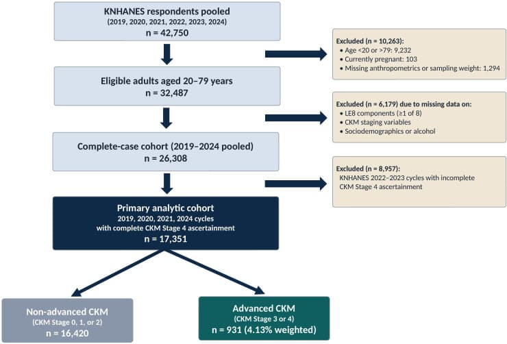 Figure 1. Participant flow diagram for the present analysis (Korean adults, KNHANES 2019–2024).