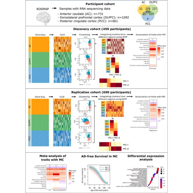 Graphical abstract from iScience