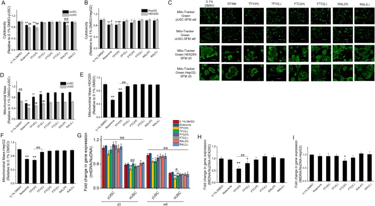 Figure 1. Cell viability, mitochondrial mass, and mitochondrial DNA copy number (mtCN) in oUSCs exposed to antiretroviral drugs.