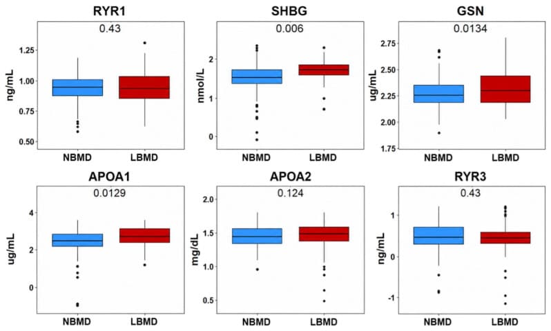 Figure 1. The comparison of serum concentrations of RYR1, SHBG, APOA1, APOA2, GSN, and RYR3 proteins between the NBMD and LBMD groups.