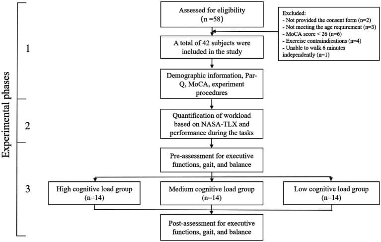 Figure 1. Flow diagram of the procedure of the study.