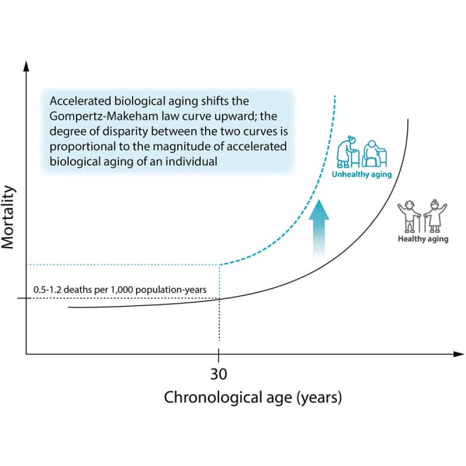 Graphical abstract from iScience