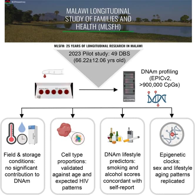 Graphical abstract from iScience