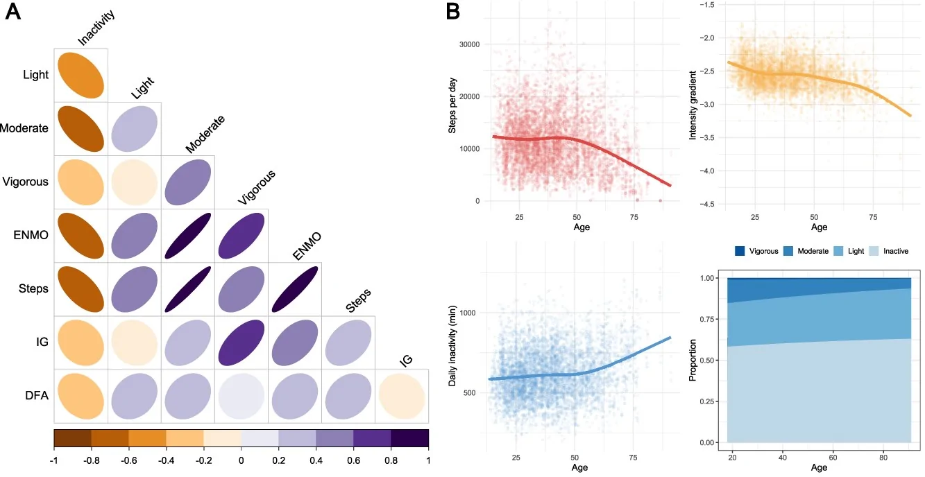 Figure 1. Physical activity and health outcomes in this study.
