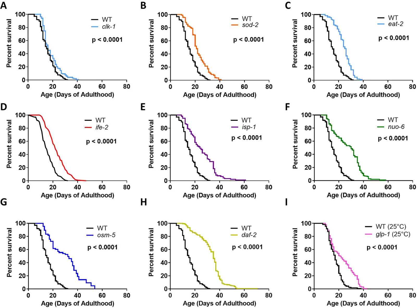 Figure 1. Long-lived mutants exhibit significantly extended lifespans of varying magnitudes.