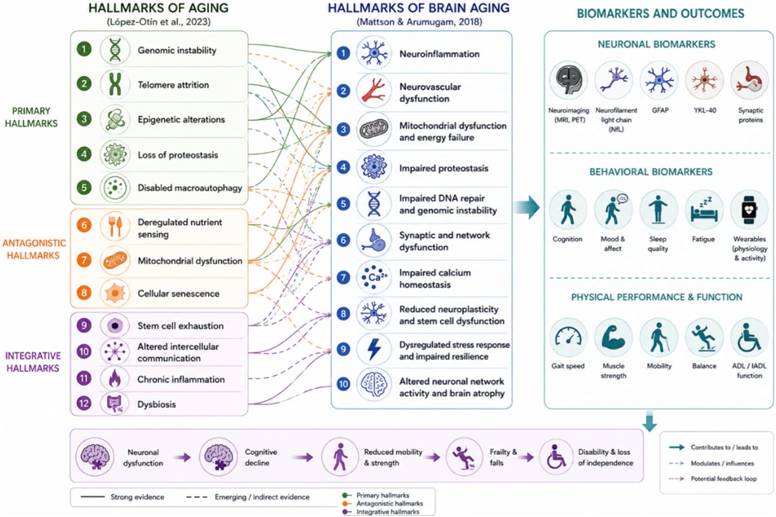 Figure 1 from Revista de Investigacion Clinica; Organo Del Hospital de Enfermedades de la Nutricion