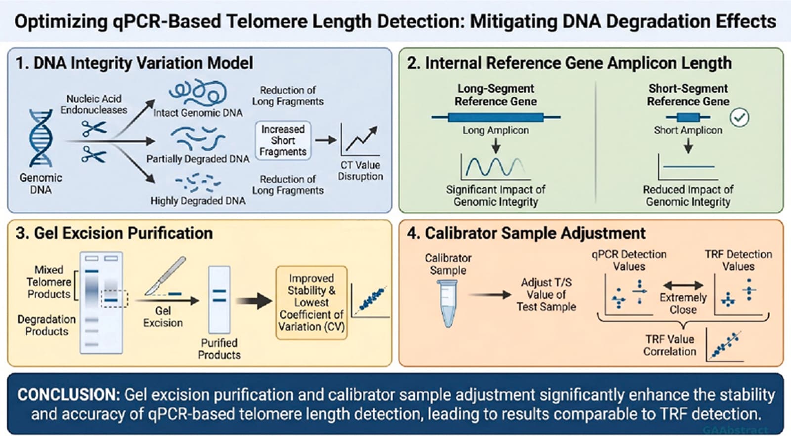 Graphical abstract from Biochemical and Biophysical Research Communications