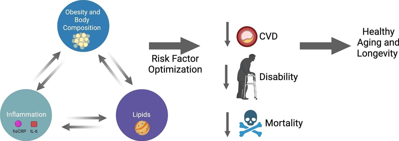 Graphical abstract from Progress in Cardiovascular Diseases