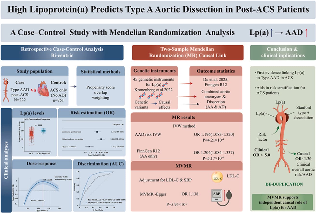 Graphical abstract from Nutrition, Metabolism, and Cardiovascular Diseases