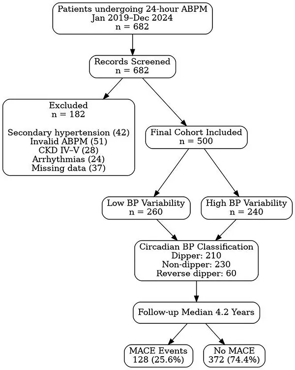 Figure 1. Flow diagram of patient selection and study inclusion.
