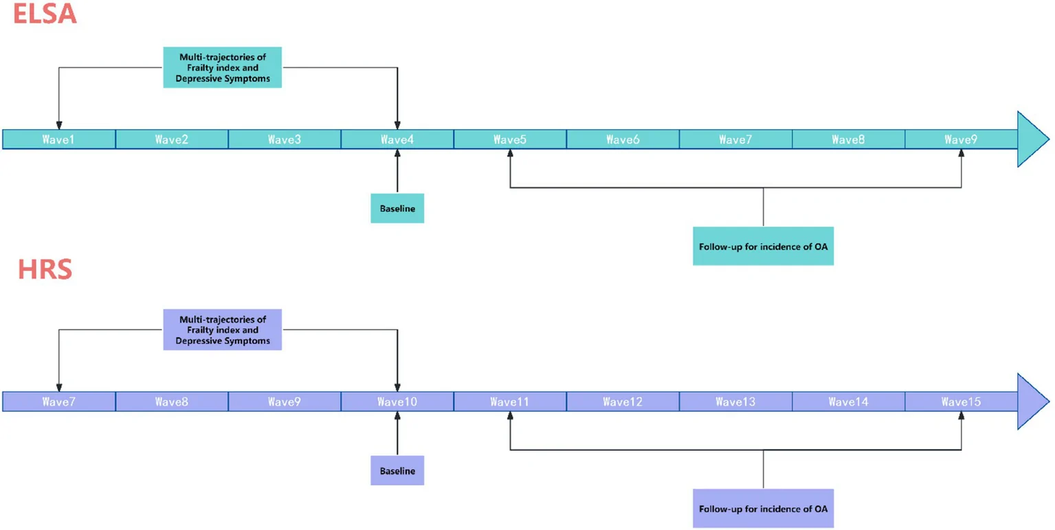 Figure 1. Temporal framework for defining joint frailty–depressive symptom trajectories and subsequent follow-up for incident osteoarthritis in ELSA and HRS.