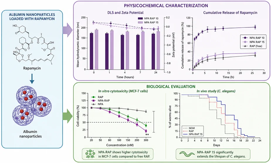 Graphical abstract from ACS Omega