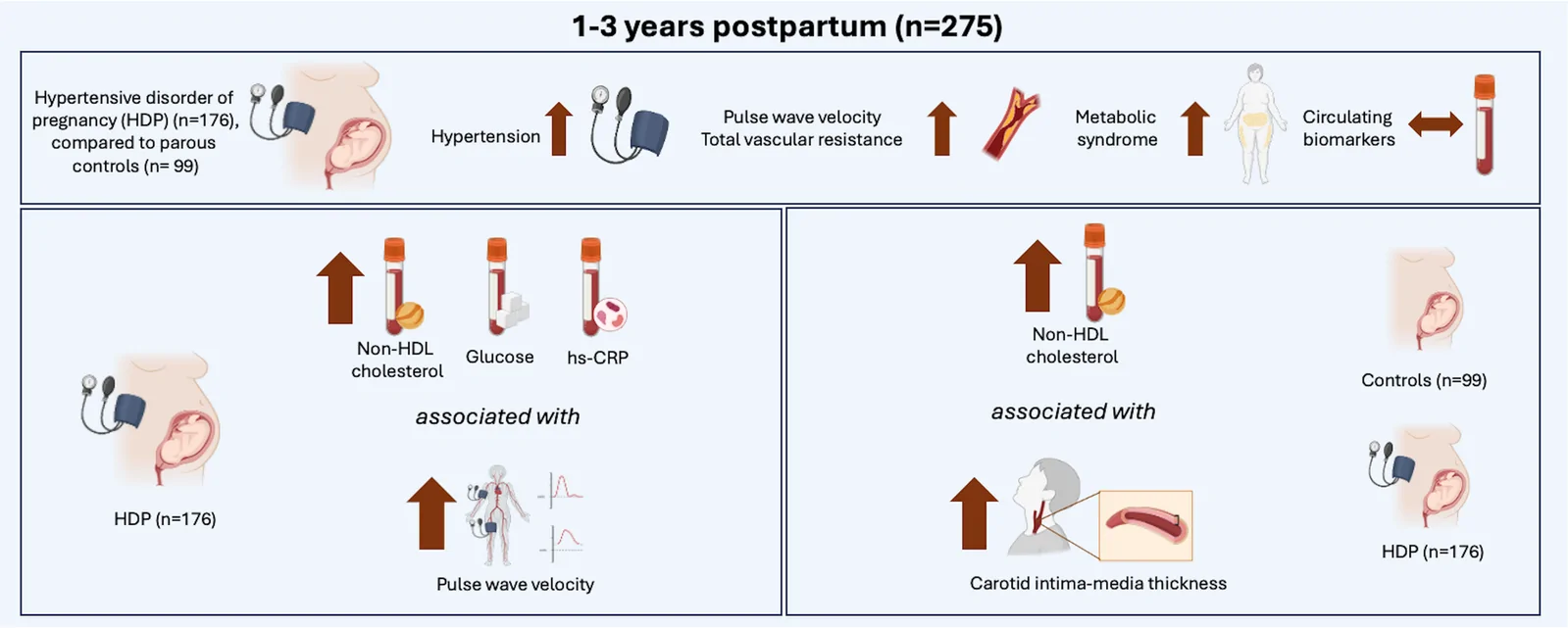 Graphical abstract from Reproductive Sciences