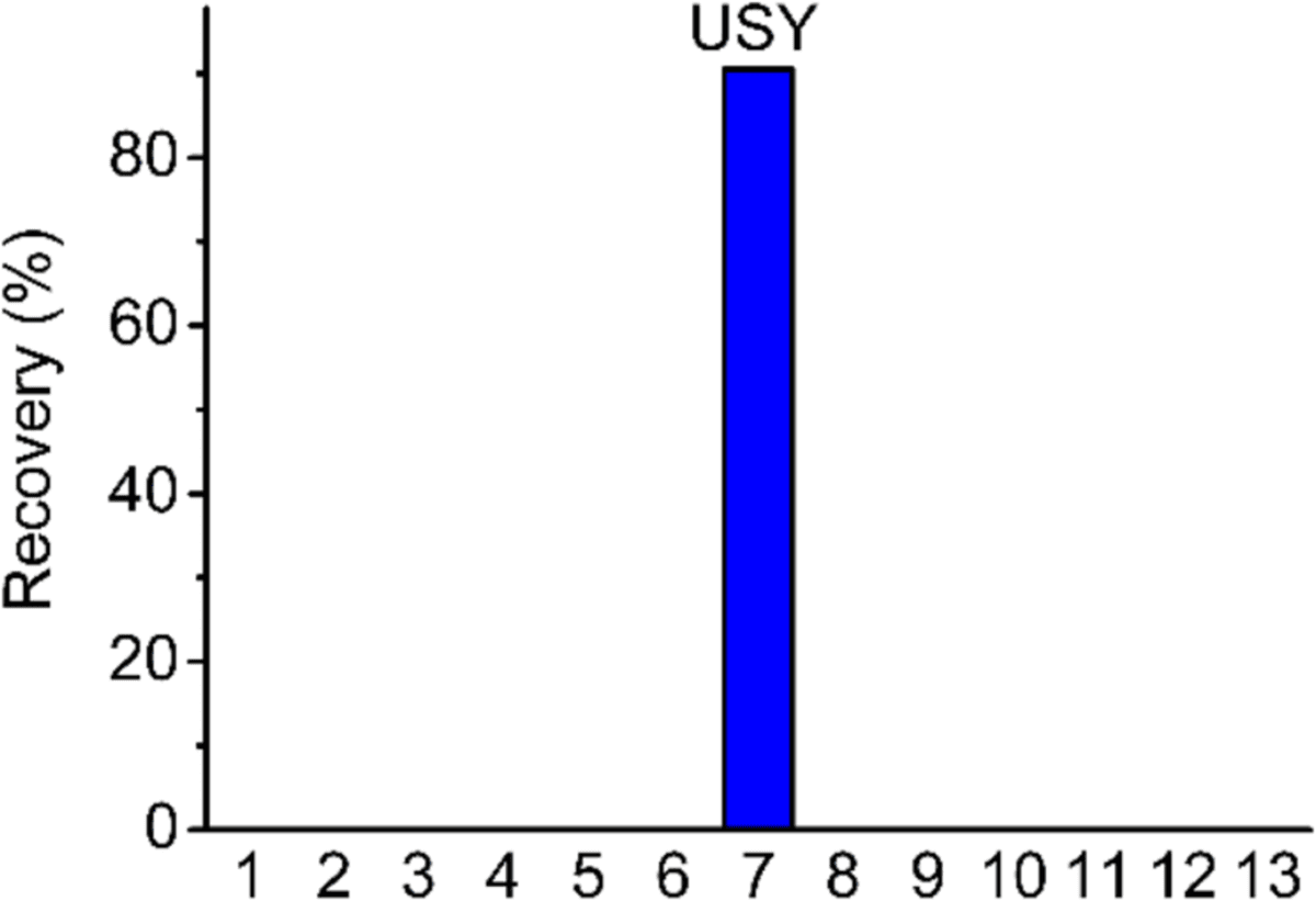 Figure 1 from Mikrochimica Acta