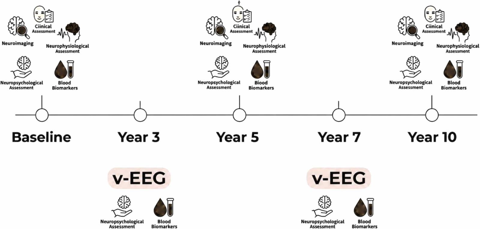 Figure 1 from Mechanisms of Ageing and Development