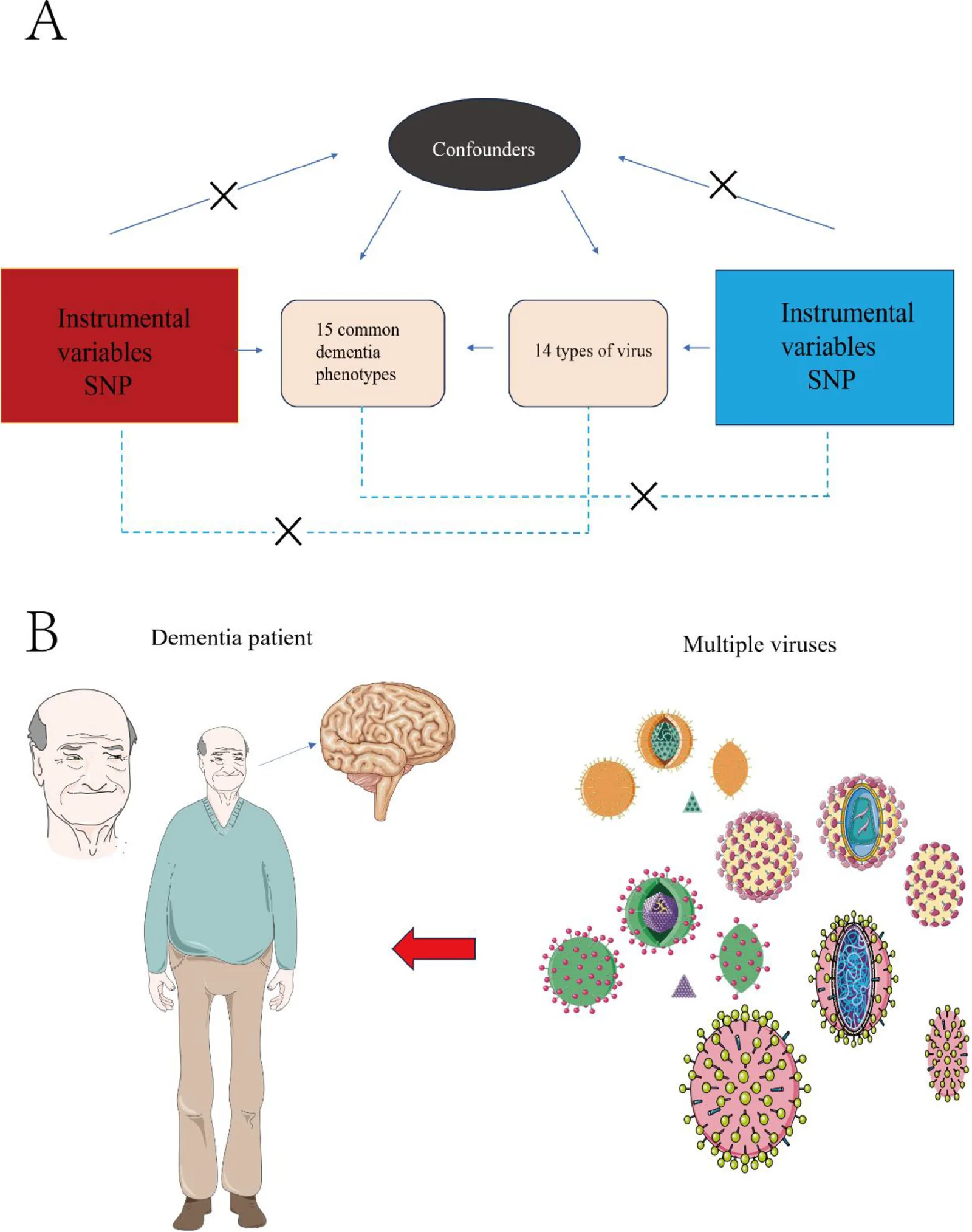 Fig. 1. Flow chart of Mendelian randomization.