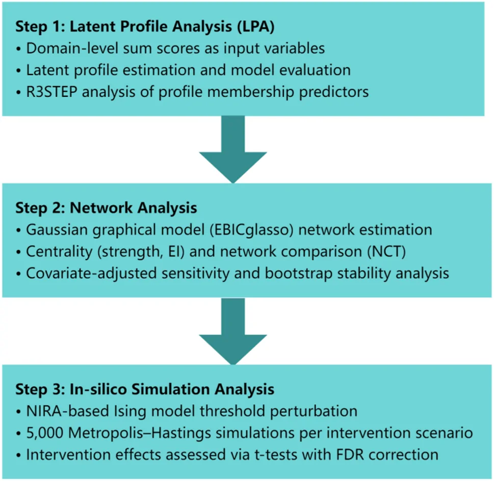 Fig. 1. Analytical workflow of the study
