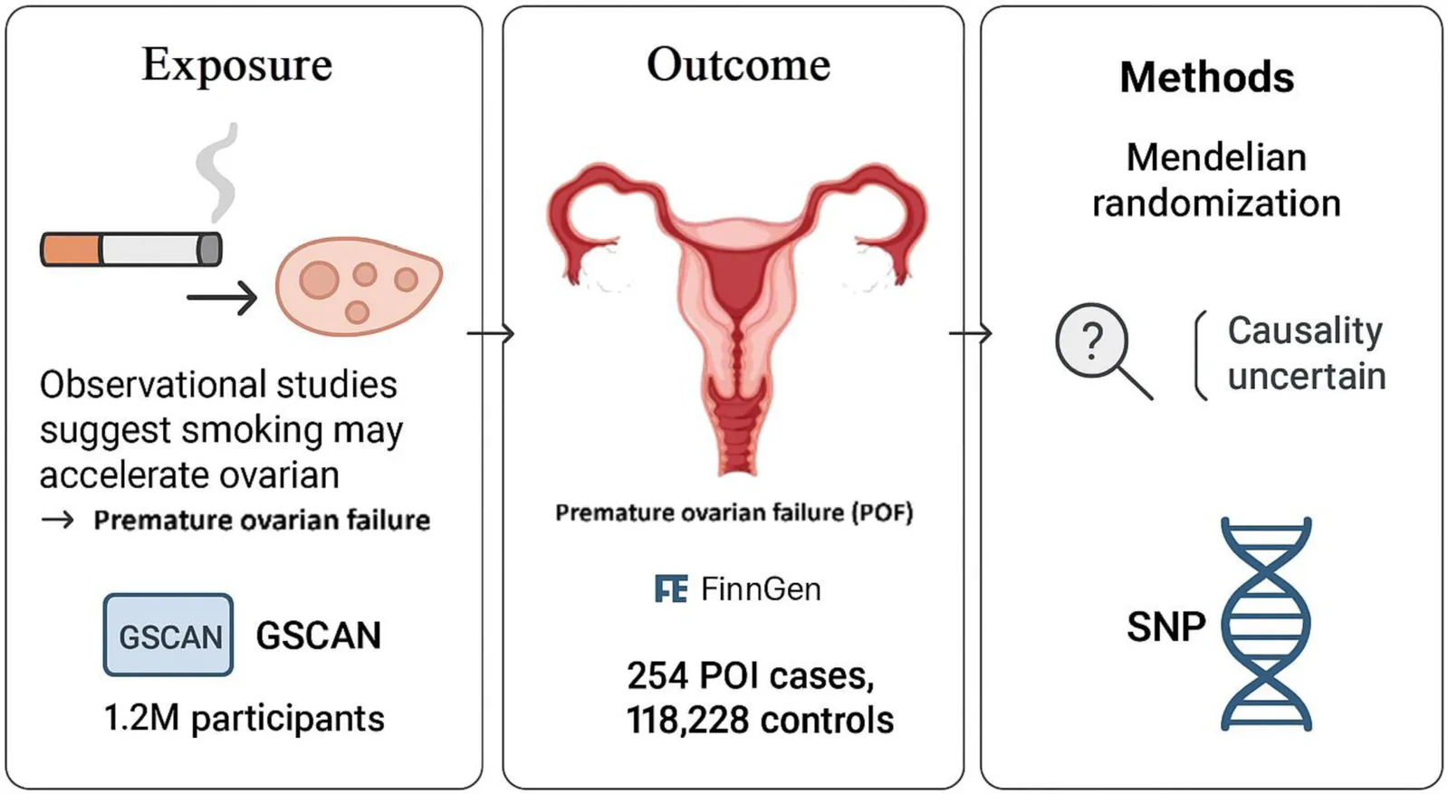 Figure 1. Two-sample Mendelian randomization study of smoking exposure in relation to primary ovarian failure.