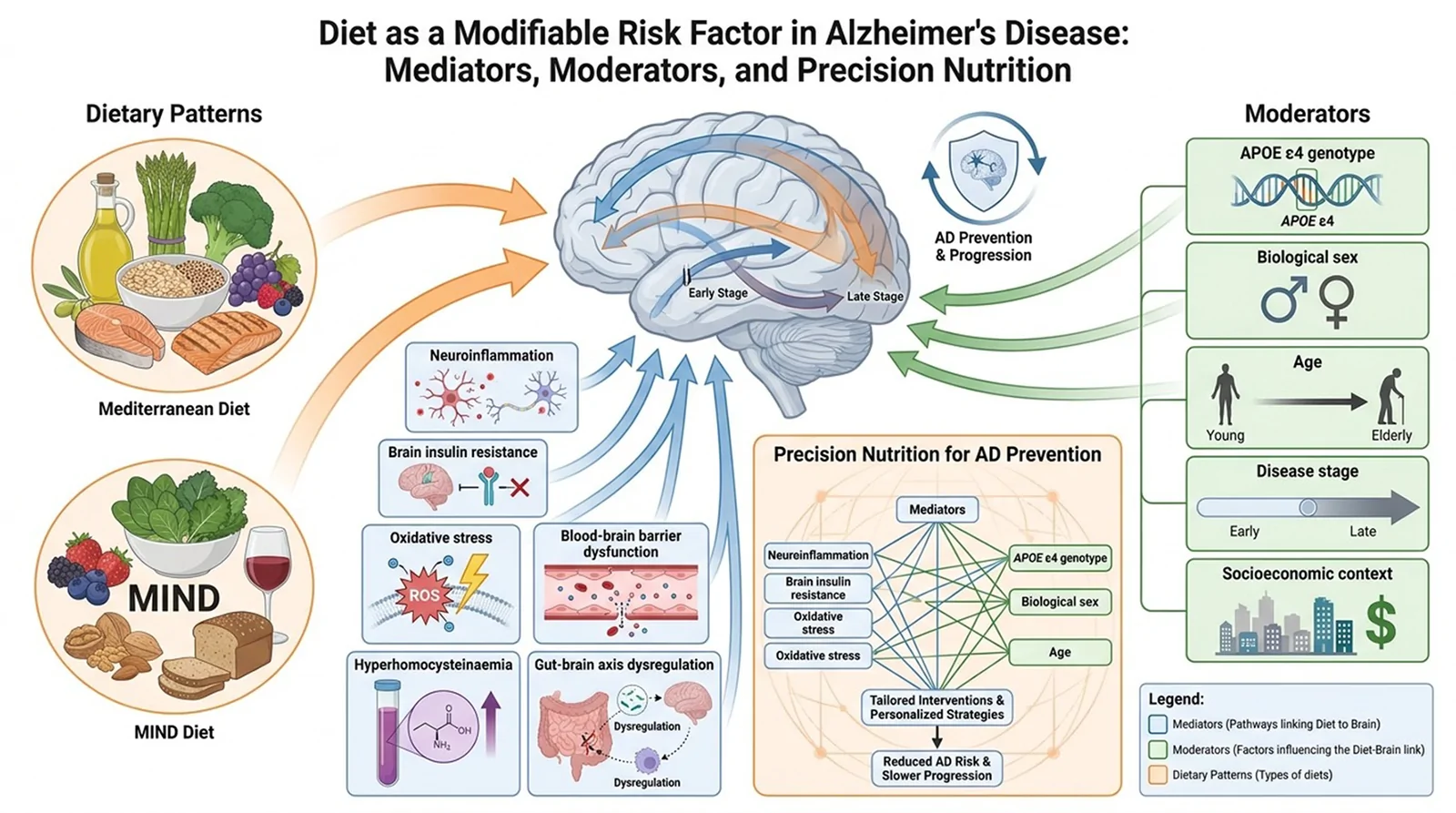 Figure 1. Diet as a modifiable risk factor for Alzheimer's disease.