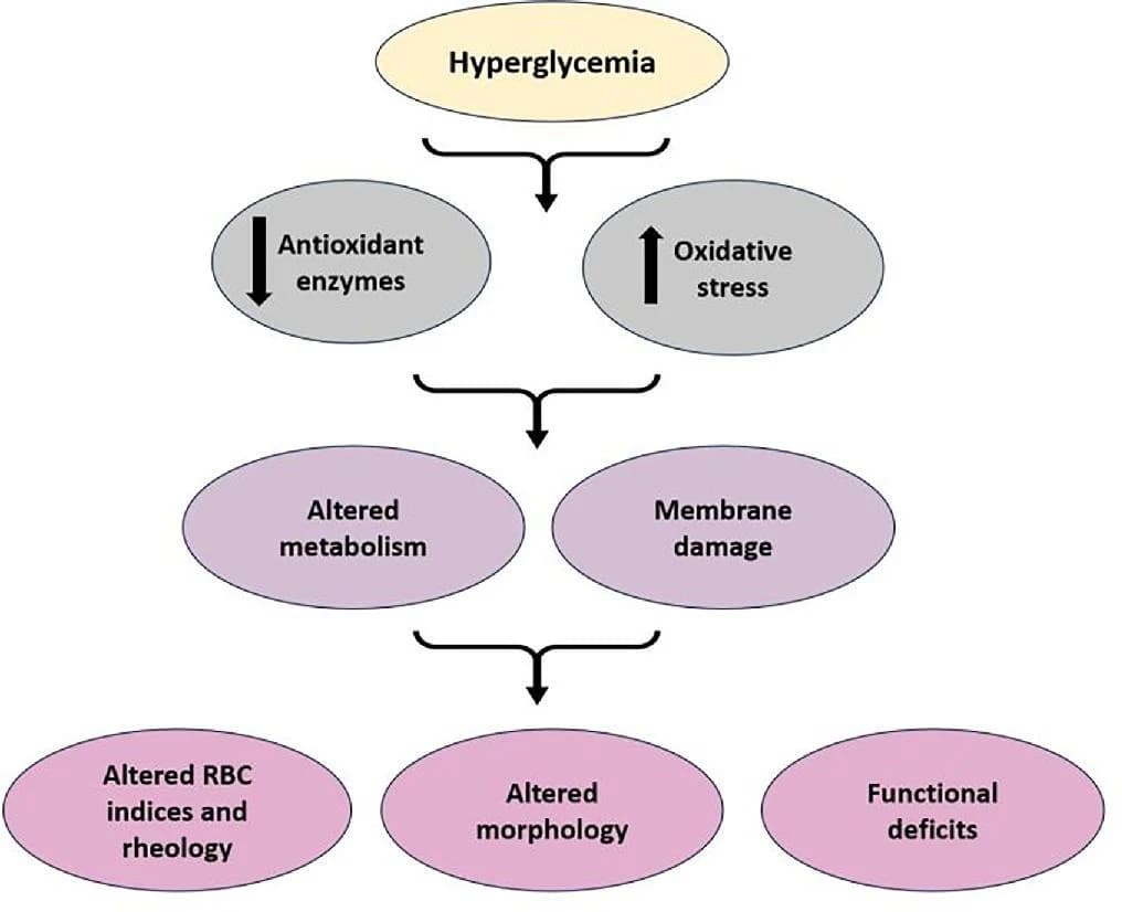 Figure 1 from Diabetes Research and Clinical Practice
