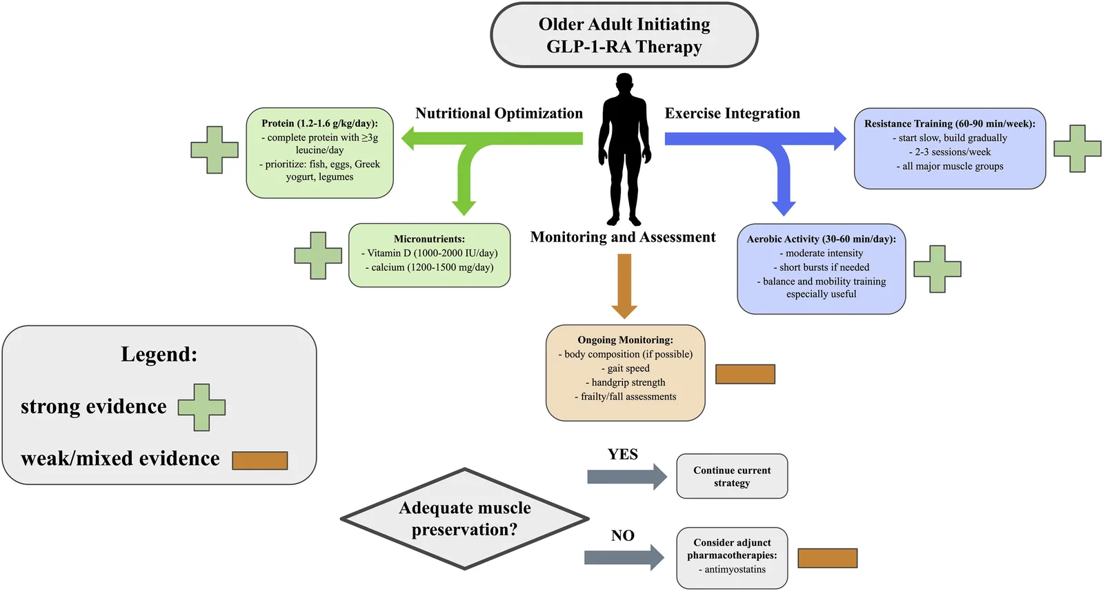 Fig. 1. Provisional Multimodal Strategy for Preserving Muscle Health During GLP-1-RA Therapy in Older Adults.