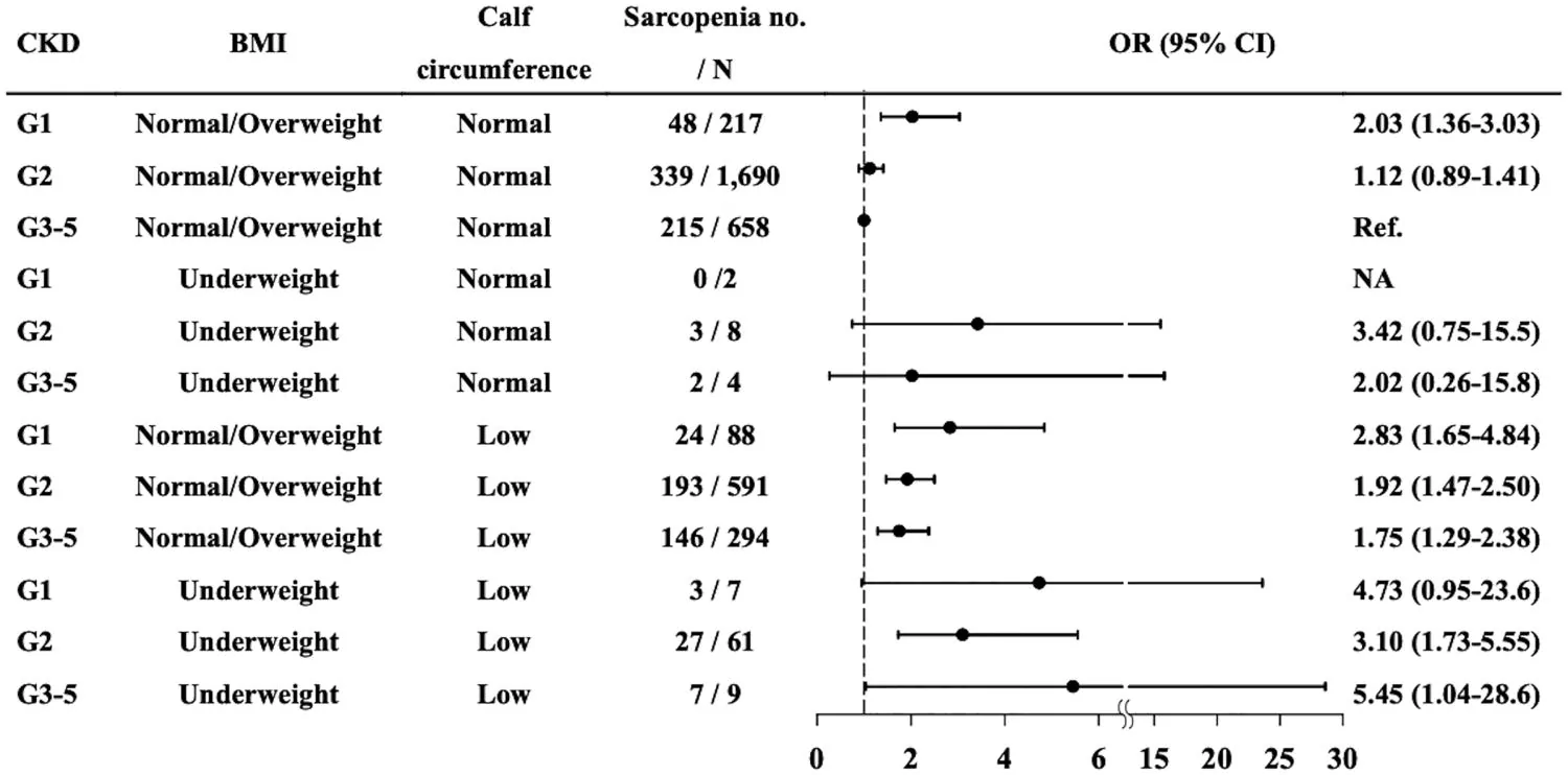 Figure 1. Forest plot of joint associations of CKD stage, BMI, and calf circumference with overall sarcopenia (reference: CKD G3–5, normal/overweight BMI, normal calf circumference).